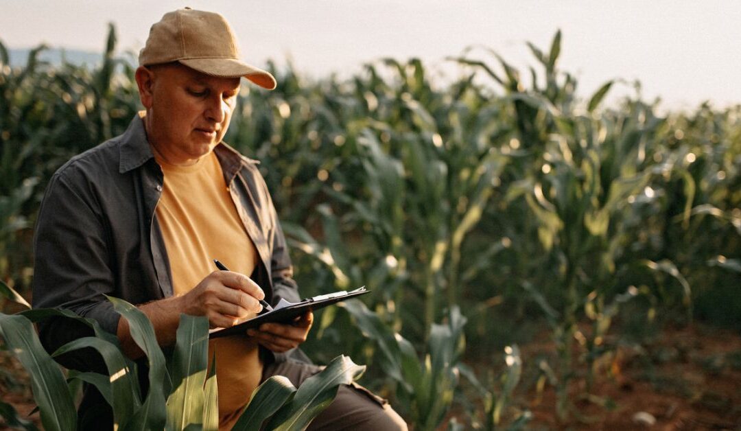 2022-ben még beadható mezőgazdasági pályázatok