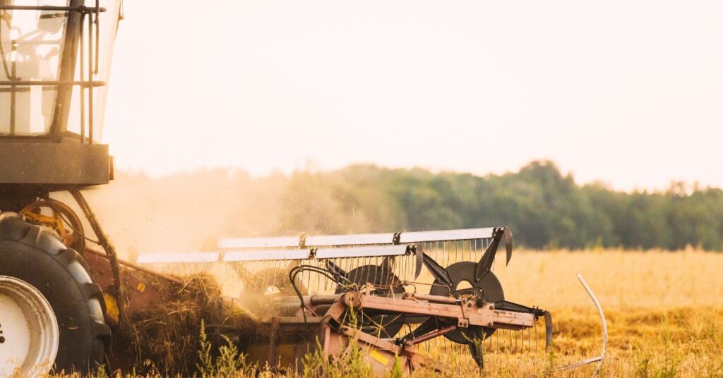 A várható beruházási programokkal kapcsolatban az alábbi változásokra érdemes figyelni: